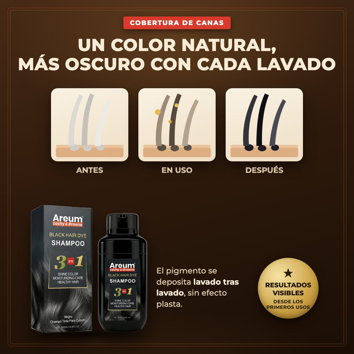 Caja Master 48 pzas Shampoo Tinte Areum