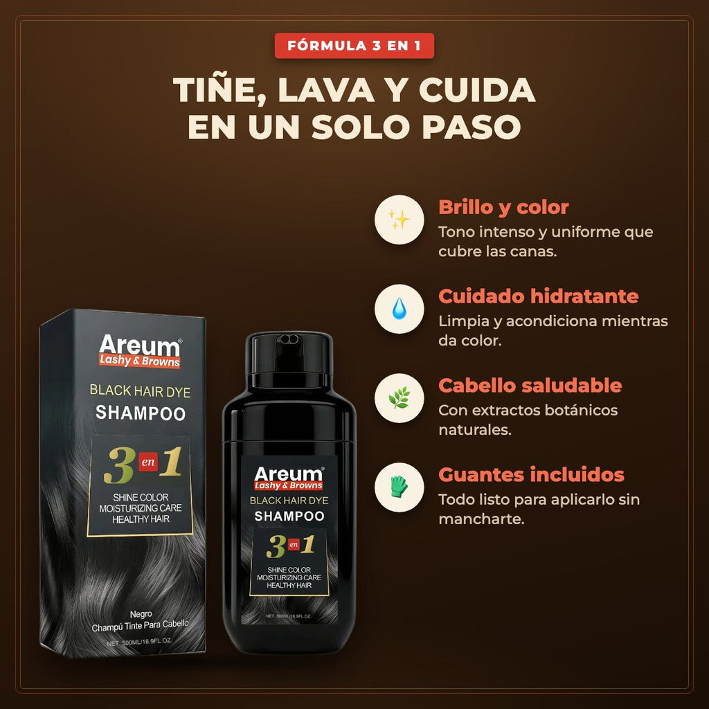 Caja Master 48 pzas Shampoo Tinte Areum
